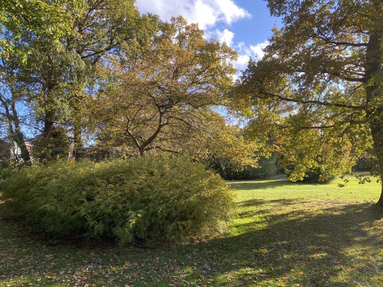 Tuinhistorisch onderzoek Boeremapark